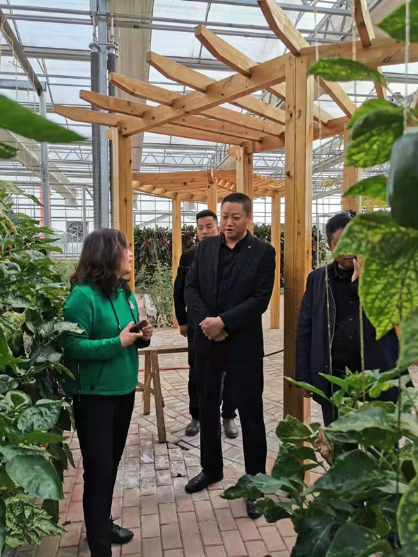 ΢�ňDƬ_201911151557272